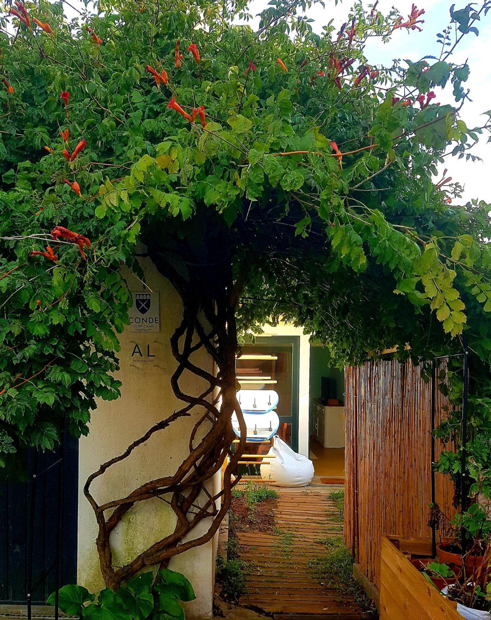 Conde Surf Camp - Junto Ao Mar - Entire Pvt House Villa Vila do Conde Exterior foto